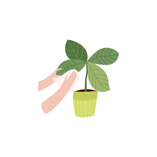 Illustrazione consigli Cura Piante fiori Illustrazione consigli Cura Piante fiori