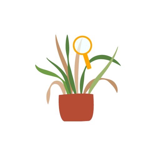 Illustrazione malattie Piante Illustrazione malattie Piante