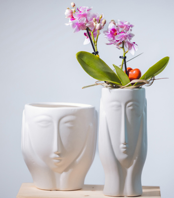 pianta Orchidea vasi Design vivai tomasi