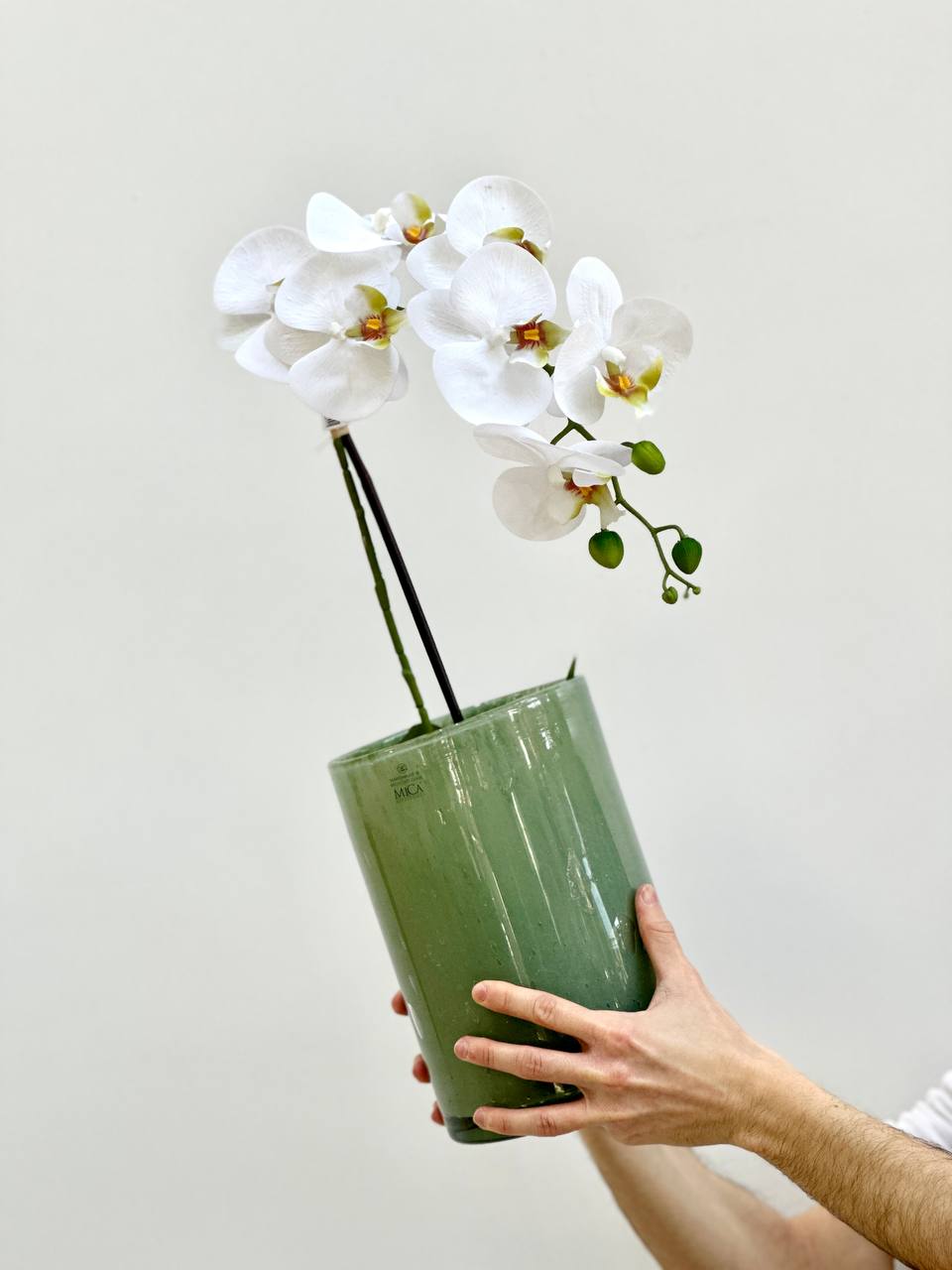 vaso Orchidea vivai tomasi