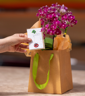 Confezione regalo. All'interno di una borsa color pesca con maniglie verdi è stata inserita una piccola orchidea viola. Accanto ad essa, una mano tiene un biglietto con scritto "buona fortuna"