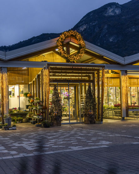 ingressoVivai_Natale