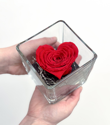 Rosa rossa stabilizzata a forma di cuore, posizionata in un vaso trasparente con base di sassolini neri, tenuto tra le mani.