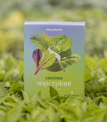 vivai-tomasi-concime Packaging del concime Superplant di Newpharm tra foglie verdi di pianta di peperoncino, ideale per la crescita sana e vigorosa, foto realizzata dai Vivai Tomasi di Santa Margherita di Ala