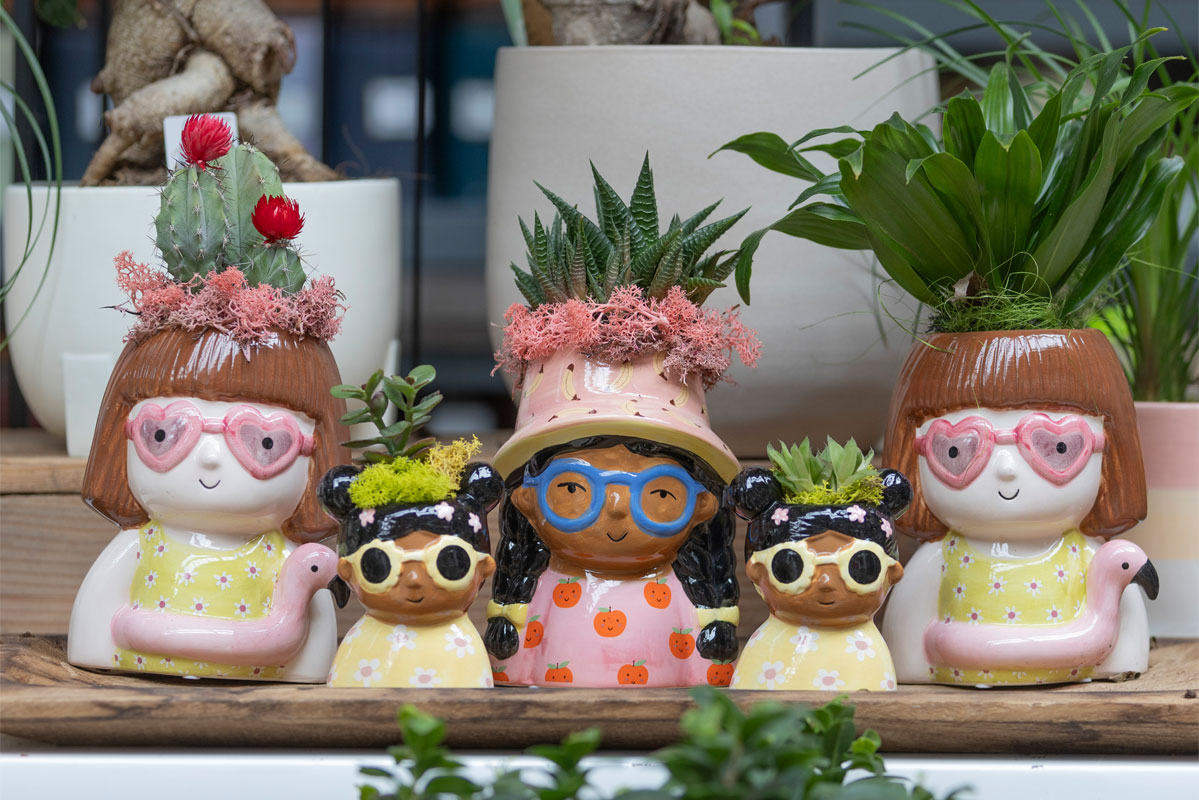 Vasi da design con piante grasse e succulente, proposte originali e decorative dei Vivai Tomasi a Santa Margherita di Ala