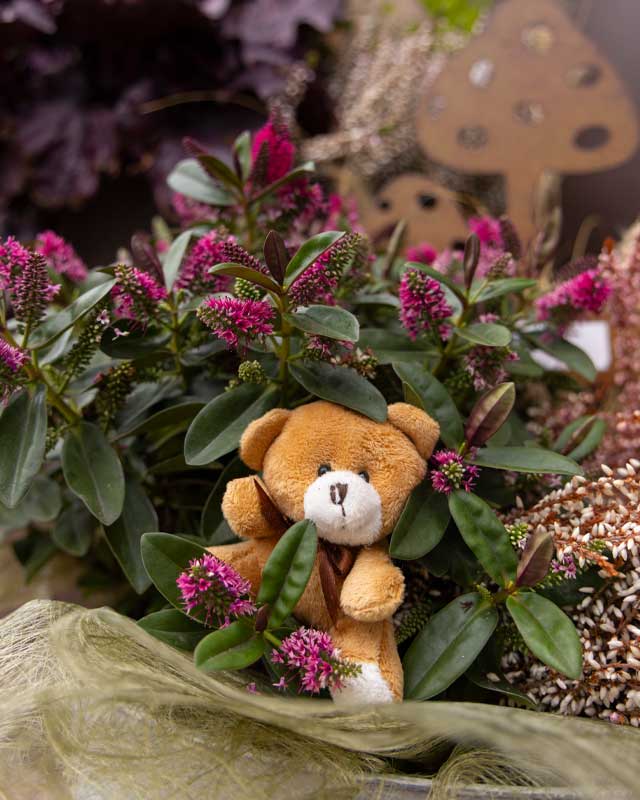 Vivai-Tomasi-Hebe Decorazione orsetto di peluche tra i fiori di hebe viola