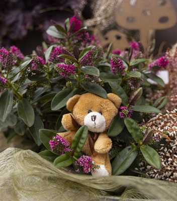 Decorazione orsetto di peluche tra i fiori di hebe viola