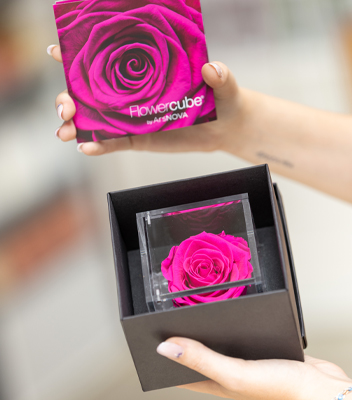 Rosa stabilizzata di Flowercube in edizione speciale nella colorazione rosa fucsia racchiusa all'interno di un elegante cubo di acrilico. Disponibile da Vivai Tomasi in varie colorazioni