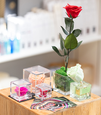 Rosa stabilizzate di Flowercube disponibili da Vivai Tomasi in varie colorazioni