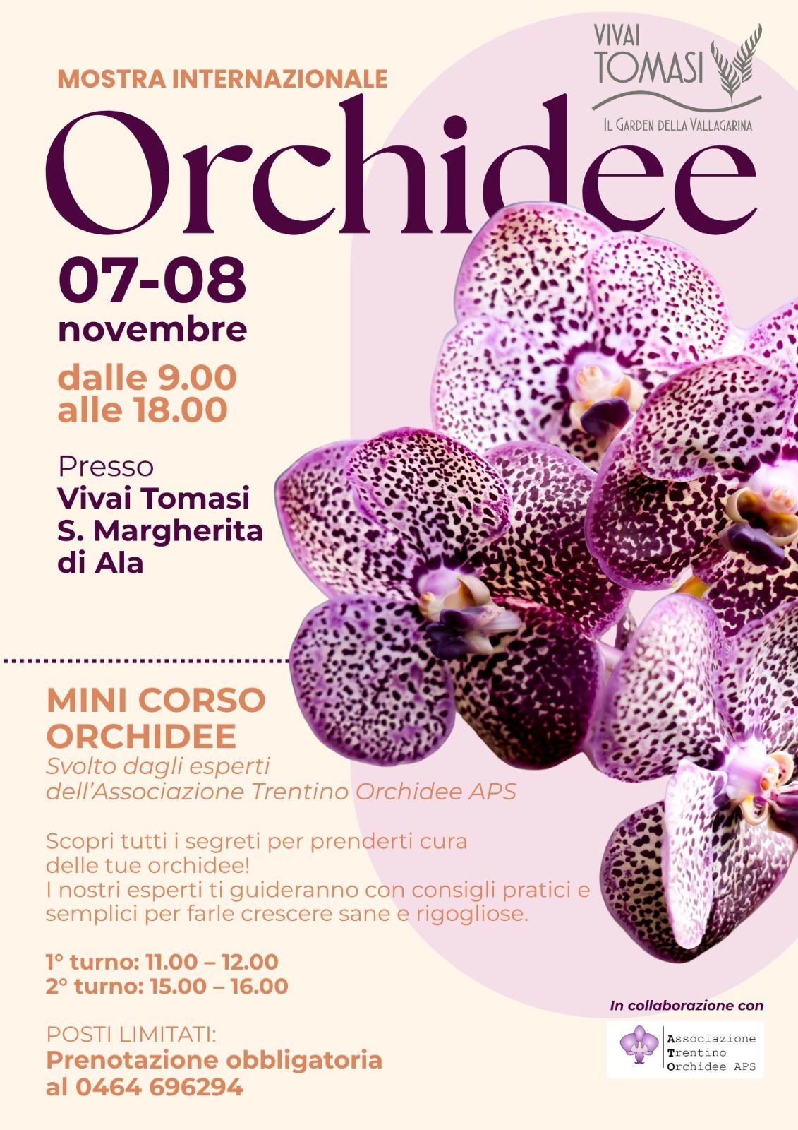 Mostra Internazionale Orchidee Locandina Mostra Internazionale Orchidee